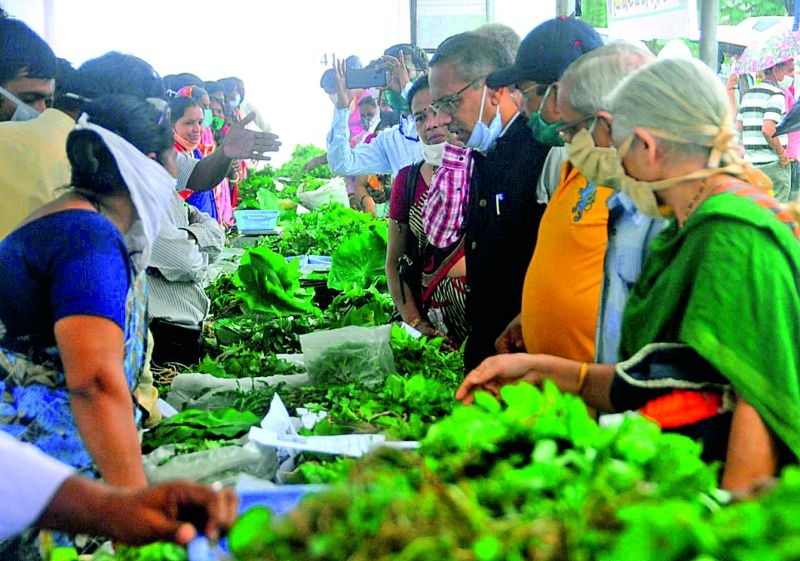 Katwal, Khaparkhuti, Chandanbatwa, Kunjircha Mewa; market of forest vegetables | काटवल, खापरखुटी, चंदनबटवा, कुंजीरचा मेवा; भरपावसात सजला रानभाज्यांचा बाजार