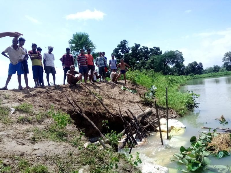 In case of pond leakage in Atapalli taluka in Gadchiroli; Villagers worried | गडचिरोलीतील एटापल्ली तालुक्यातला तलाव फुटण्याच्या स्थितीत; गावकरी चिंतीत