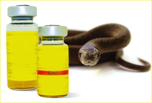 Defective 'anti-snake venom' vaccine in the Nagpur | उपराजधानीत सदोष ‘अ‍ॅण्टी स्नेक व्हेनम’ लस