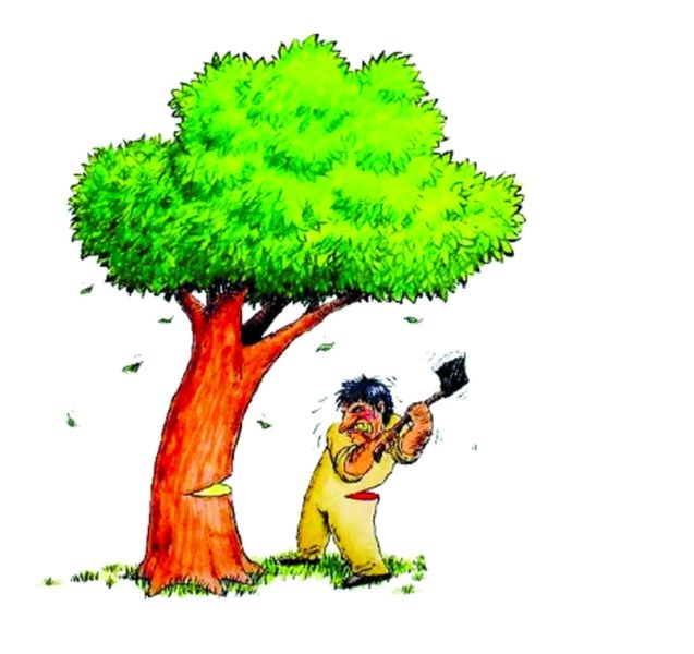 The illegal breaks of trees on five and a half lakhs in five years | पाच वर्षांत साडेपाच लाखावर वृक्षांची अवैध तोड