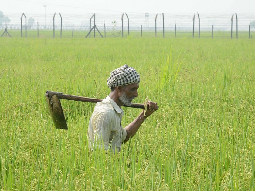 Will the new agriculture bill benefit mainly farmers or corporates? | नव्या कृषी विधेयकाचा फायदा मुख्यत: शेतकऱ्यांना होणार की कॉर्पोरेट कंपन्यांना?