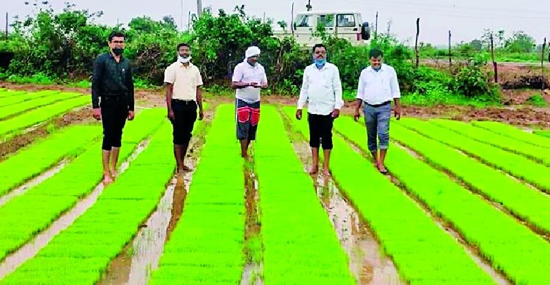 Farmers worried due to lack of rains | पावसाअभावी रोवण्या खोळंबल्याने शेतकरी चिंतातूर