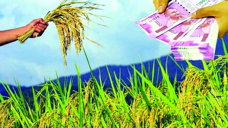 Farmers' back to crop insurance | पीक विम्याकडे शेतकऱ्यांची पाठ