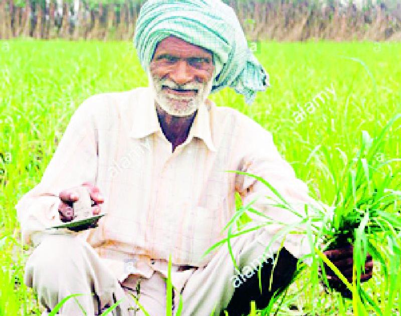 32 thousand farmers will get loan waiver benefit | ३२ हजारावर शेतकऱ्यांना कर्जमाफीचा मिळणार लाभ