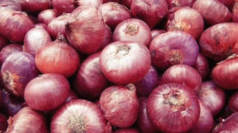  What are you saying... only 30 rupees onion per kg | काय सांगताय...कांदा फक्त ३० रुपये किलो