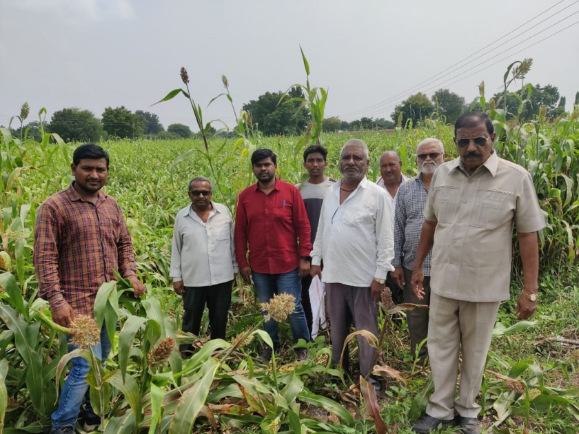 Crop panchnama started in Chandanpuri Shivara | चंदनपुरी शिवारात पीक पंचनामे सुरू