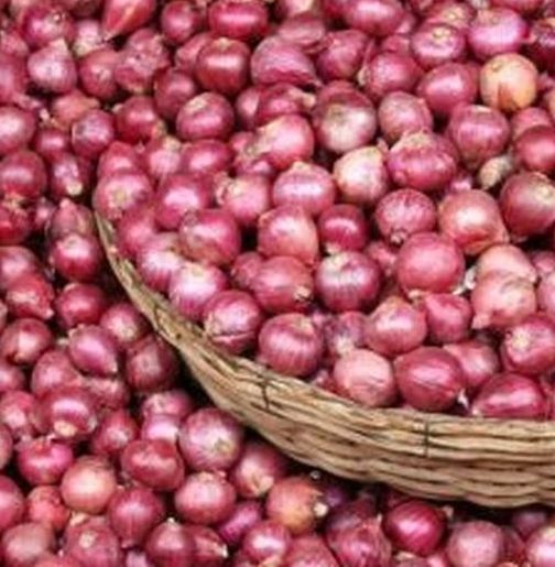 Farmers' disappointment over onion prices goes up | कांदा दर वाढूनही शेतकऱ्यांच्या पदरी निराशाच