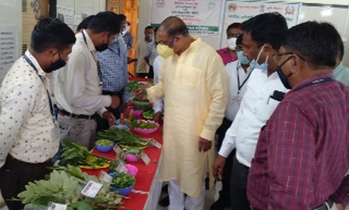 Vegetable Festival was held all over the district | जिल्हाभरात झाला रानभाज्या महोत्सव