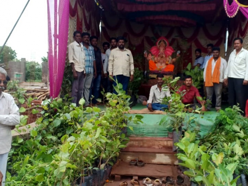 Parbhani: Fourteen hundred plants planted in front of the idol of Ganapati | परभणी : गणपतीच्या मूर्तीसमोर चौदाशे रोपांची आरास