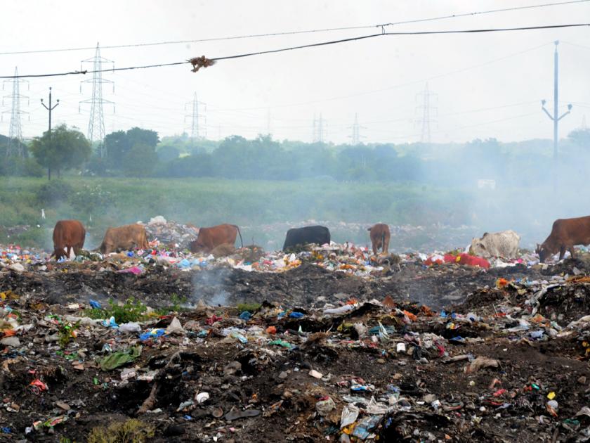 Parbhani: End of cleanliness campaign, closure of solid waste | परभणी : स्वच्छता अभियान संपताच घनकचरा प्रकल्प बंद