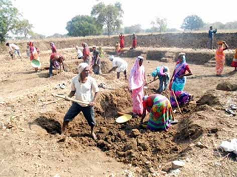 Parbhani: 21 villages do not spend any money on MNREGA | परभणी :२१ गावांत मनरेगावर छदामही खर्च नाही