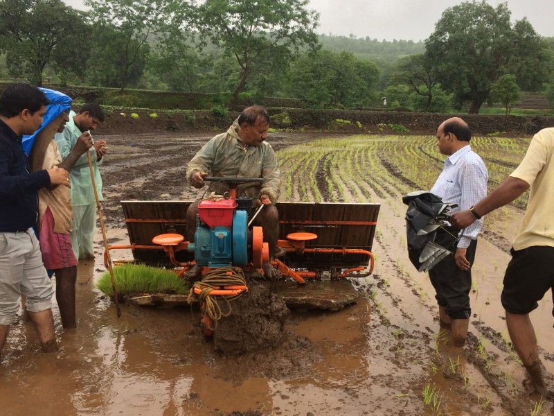 rice cultivation by the machine is successful | यंत्राद्वारे भात लागवडीचा प्रयोग यशस्वी 