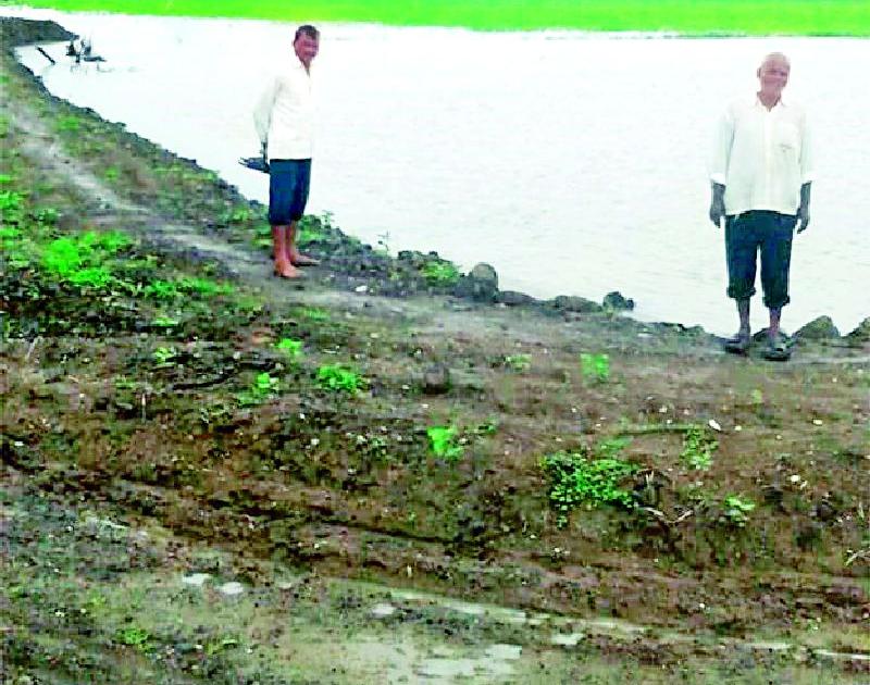 Drop off crops due to canal excavation | कालव्याच्या खोदकामामुळे बुडाले पीक