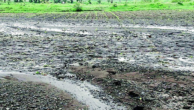 Hundreds of hectares of irrigated farm under irrigated rain | संततधार पावसाने शेकडो हेक्टर शेती पाण्याखाली