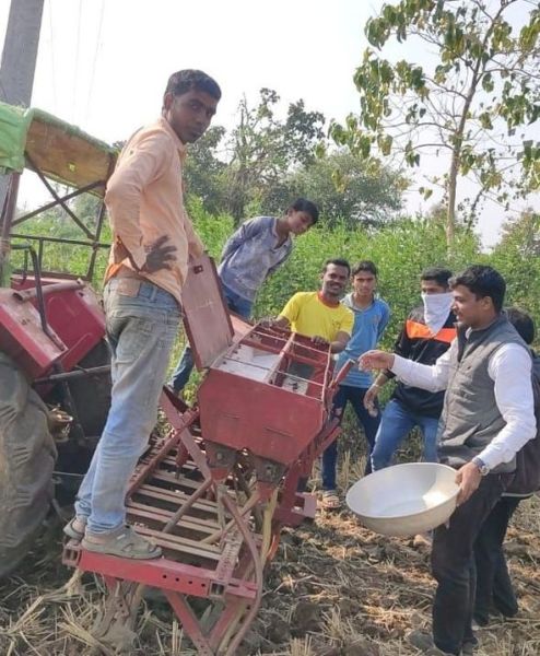 Farmers struggle to get out of traditional farming | पारंपरिक शेतीतून बाहेर पडण्याची शेतकऱ्यांची धडपड; ३५० एकरात करडईची लागवड 