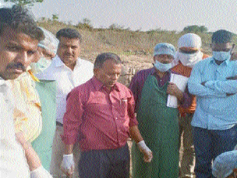 Examination of livestock in Amethan pig in Beed district | बीड जिल्ह्यातील अंथरवन पिंपरीत पशुधनाची तपासणी