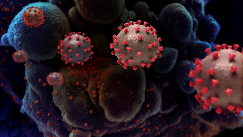 About 70% of patients are critically ill with mutated viruses | Corona Virus; म्युटेशन झालेल्या विषाणूमुळे ७० टक्के रुग्ण गंभीर