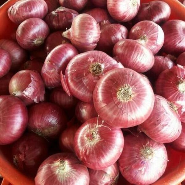 onion rates reduced | कांदा थोडा घसरला; किरकोळमध्ये ६० रुपये किलो