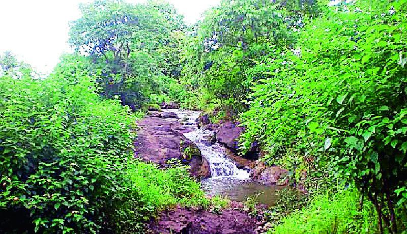 Sanction for sanctuary to Mahendra forest of Warud | वरूडच्या महेंद्री जंगलाला अभयारण्याची मंजुरी