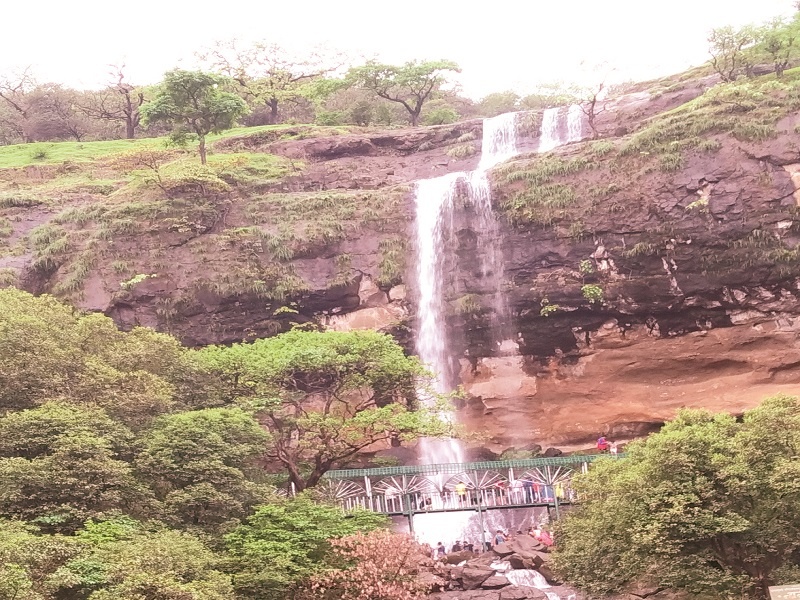 Tourist 'Weekend' in Bhandara : Waterfalls Attractions | भंडारद-यात पर्यटकांचा ‘विकेंड’ : फेसाळते धबधबे, फॉलचे आकर्षण