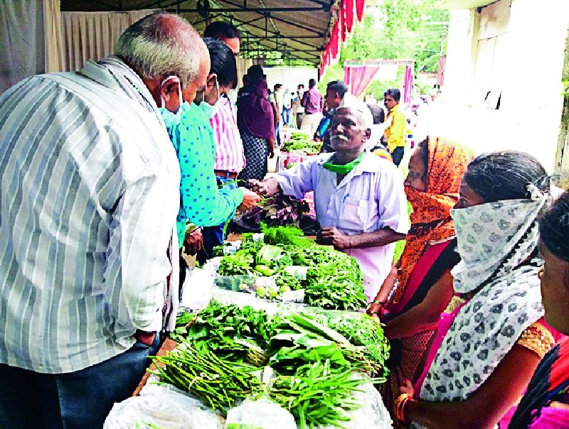 The aroma of legumes permeated the Bhandara festival | भंडारातील महोत्सवात दरवळला रानभाज्यांचा सुगंध