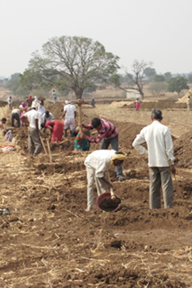 Four and a half thousand laborers worked on MGNREGA | साडेचार हजार मजूर मनरेगाच्या कामावर