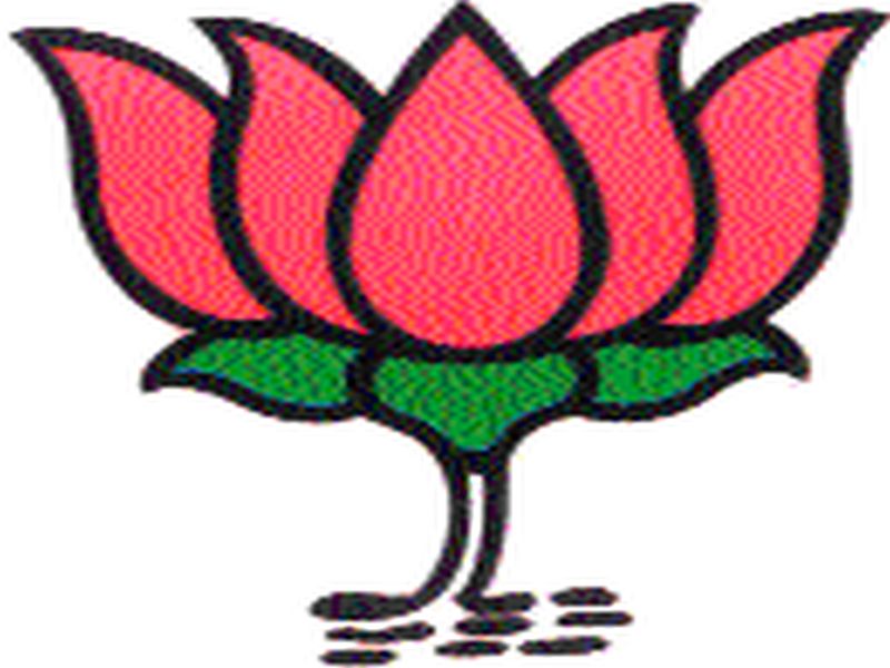 What is happening in the BJP? | भाजपात ‘हे’ चाललेय काय?