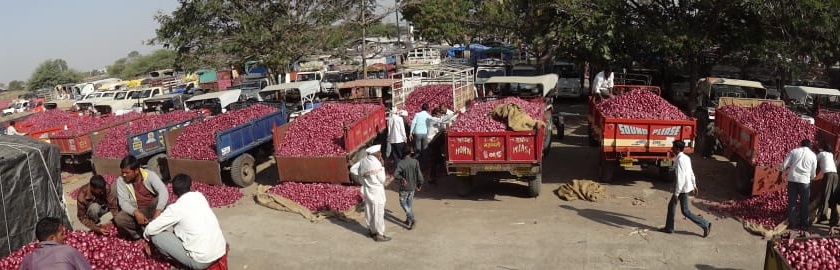 Onion prices halved in nine days | नऊ दिवसांत कांदा भाव निम्म्यावर