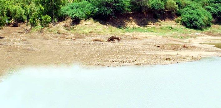 Parbhani: 3% water in 'degros' | परभणी :‘डिग्रस’मध्ये १ टक्का पाणी