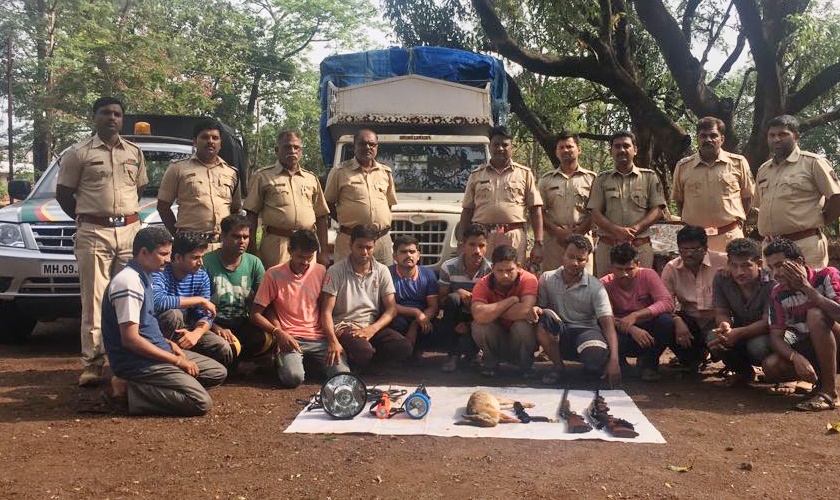 Ratnagiri: 13 people arrested in a snarl hunting hunt | रत्नागिरी : चोरटी शिकार करणारे जाळ्यात, १३ जणांना अटक