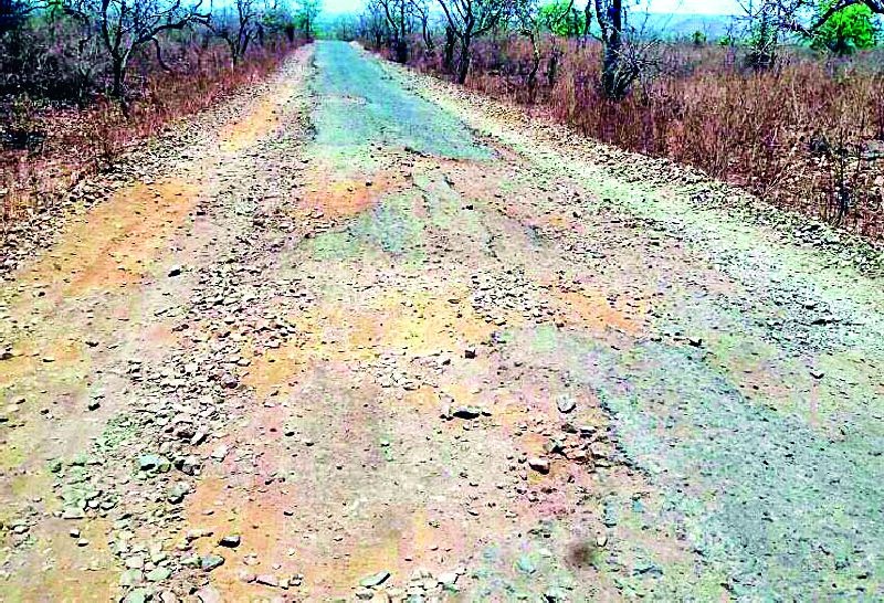 Manikwada-Tarasvanga road pothole | माणिकवाडा-तारासावंगा रस्ता खड्ड्यात