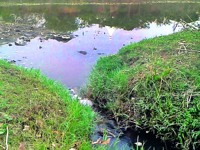 Wastewater in the river Nirguda | सांडपाणी निर्गुडा नदीच्या पात्रात