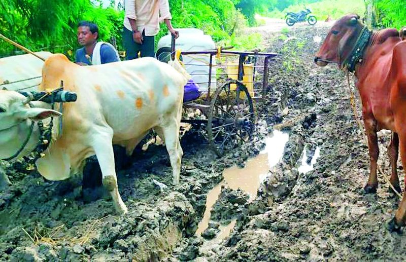 Rural roads in Ralegaon deteriorated | राळेगावातील ग्रामीण रस्ते बिघडले