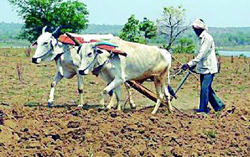 41 thousand farmers are deprived | ४१ हजार शेतकरी वंचित