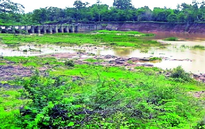 Kolhapuri Dam bridge threatened | कोल्हापुरी बंधाऱ्याचा पुलाला धोका