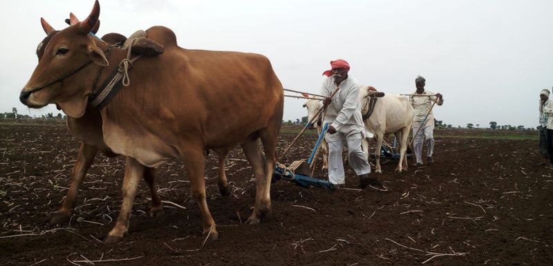 60% subsidy to farmers for mechanization | यांत्रिकीकरणासाठी शेतकऱ्यांना ६० टक्क्यांपर्यंत अनुदान