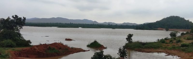 In the Vidarbha, the Mama lakes ignored by govt. | पूर्व विदर्भातील मामा तलावांचे अस्तित्व धोक्यात