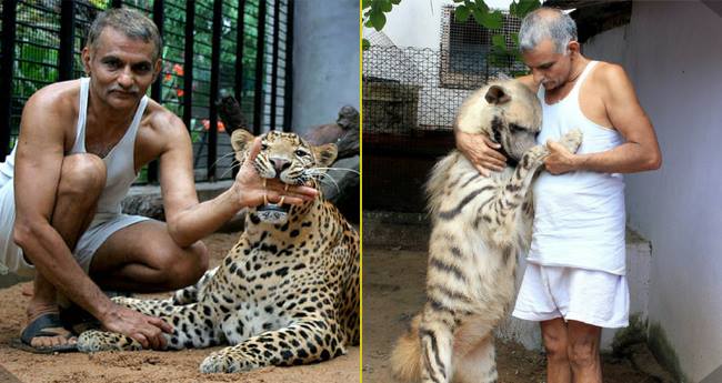 On Central Animal Welfare Board Dr. Prakash Amte was appointed | केंद्रीय प्राणी कल्याण मंडळावर डॉ. प्रकाश आमटे यांची नियुक्ती