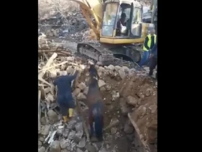 Divine miracle! Live horse found under rubble 21 days after earthquake in Turkey, WATCH VIDEO | दैवी चमत्कार! तुर्कीमध्ये भूकंपाच्या 21 दिवसानंतर ढिगाऱ्याखाली जिवंत घोडा सापडला, पाहा VIDEO