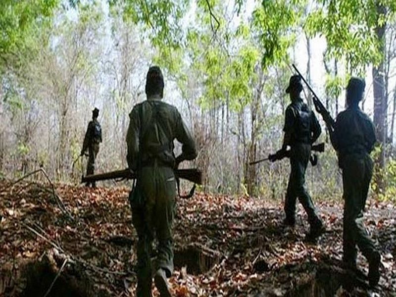 Two naxals killed in encounter with security forces in Gadchiroli's Gyarapatti village | गडचिरोलीत पोलीस आणि नक्षलवाद्यांमध्ये चकमक; दोन नक्षलवाद्यांचा खात्मा