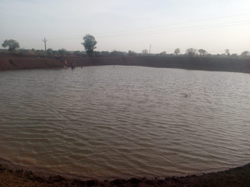 Water taken from the river in farm lake to fishery | नदीतील पाणी शेततळ्यात घेऊन केली मत्स्यशेती