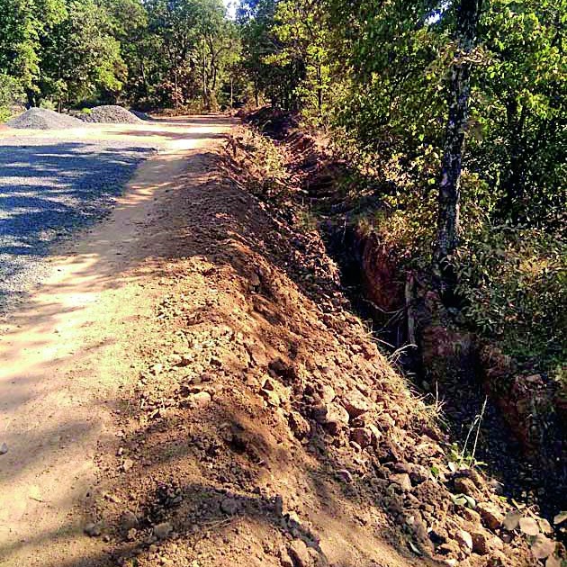 Road drain damaged trees | रस्ता नाली खोदकामात वृक्षांचे नुकसान