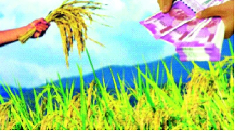 This is the first time that Bhandara district in the paddy belt has been included in rabi crop insurance this year | धान पट्ट्यातील भंडारा जिल्ह्याचा रबी पीक विम्यात यंदा पहिल्यांदाच समावेश