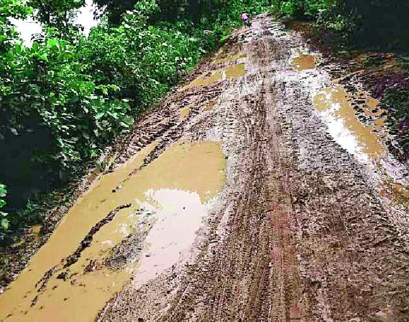 The village was cut off due to muddy roads | चिखलमय रस्त्यांमुळे तुटला गावाचा संपर्क