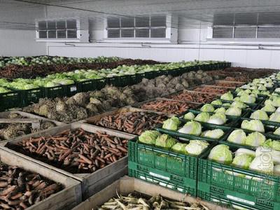 Kolhapur Agricultural Produce Market Committee entrusted with cold storage facilities | कोल्ड स्टोरेजसाठी कोल्हापूर शेती उत्पन्न बाजार समिती देणार जागा