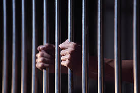 Detained criminals in Seed Chari | बियाणे चारीतील अट्टल गुन्हेगार ताब्यात