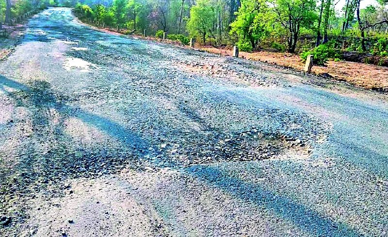  Sironcha-Patagunda road paved | सिरोंचा-पातागुडम मार्ग खड्डेमय