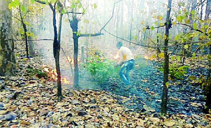 Many places forest firefighters | अनेक ठिकाणचे जंगल आगीच्या भक्ष्यस्थानी