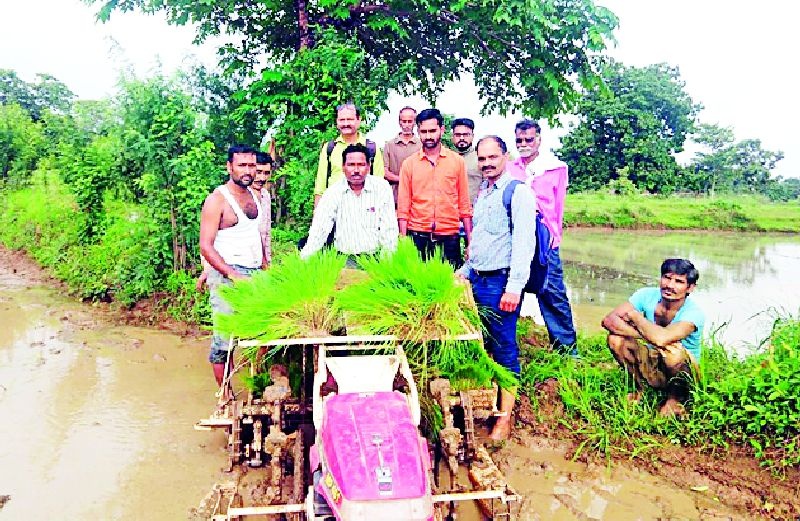 Demonstrated paddy cultivation with machine | यंत्राने भात लागवड प्रात्यक्षिक