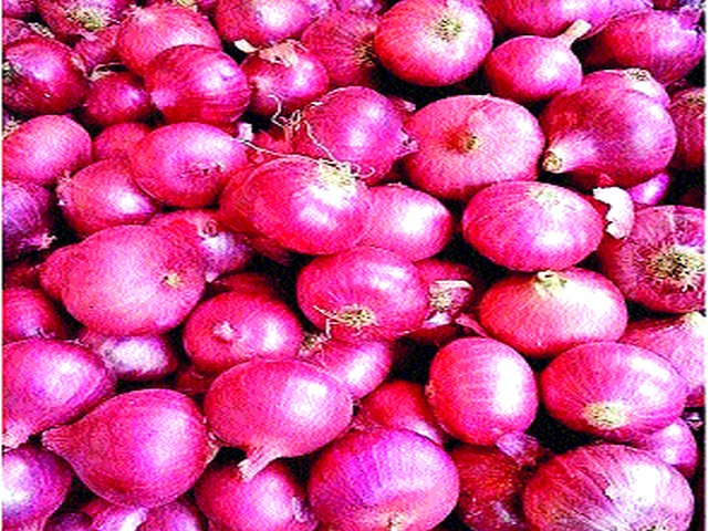 Onion prices fall by Rs | कांदा दरात १०० रुपयांनी घसरण